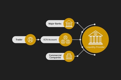 ECN Network Explained