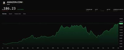 From IPO to Stock Market Champions: The Rise of Big Tech Firms