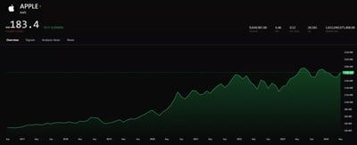 From IPO to Stock Market Champions: The Rise of Big Tech Firms