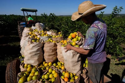 Orange Juice Prices Soar, and May Stay That Way