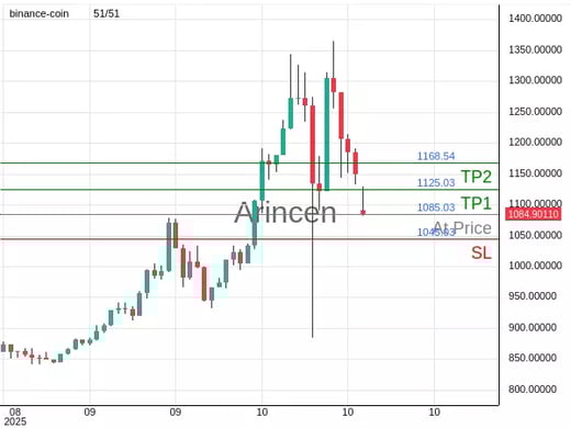 BNBUSD@1085.03 Chart
