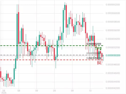 SHIBUSD@0.00000503 Chart