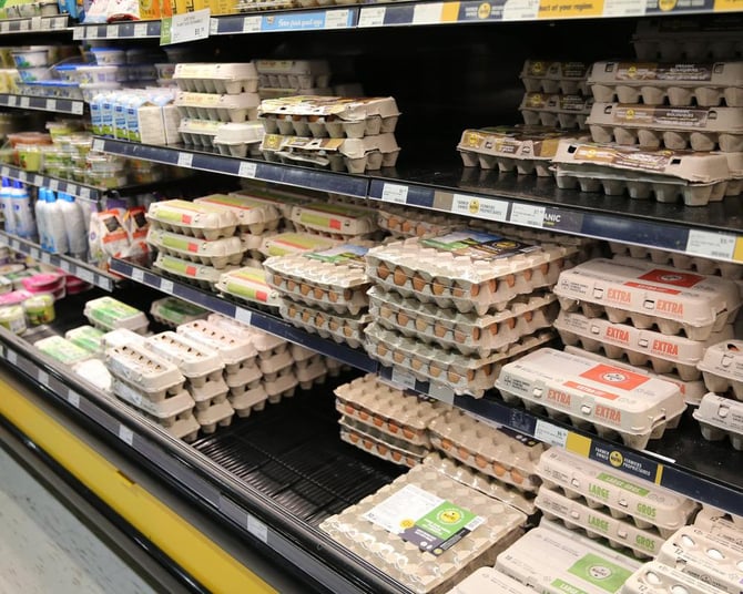 Canada’s Inflation Cools, Opening Door to Rate Slowdown
