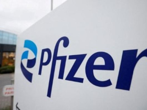Pfizer Shares Fall on Negative 2024 Profit Outlook