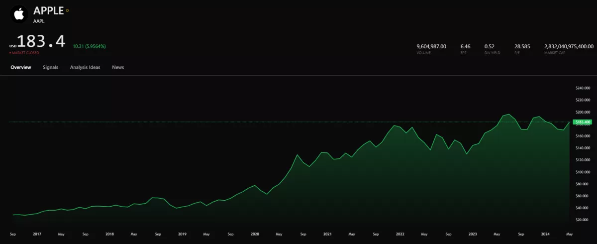 From IPO to Stock Market Champions: The Rise of Big Tech Firms