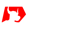 XM