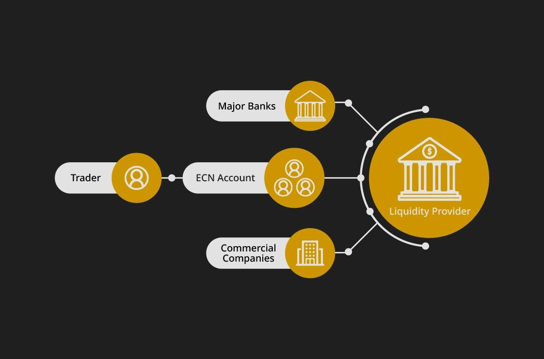 ECN Network Explained