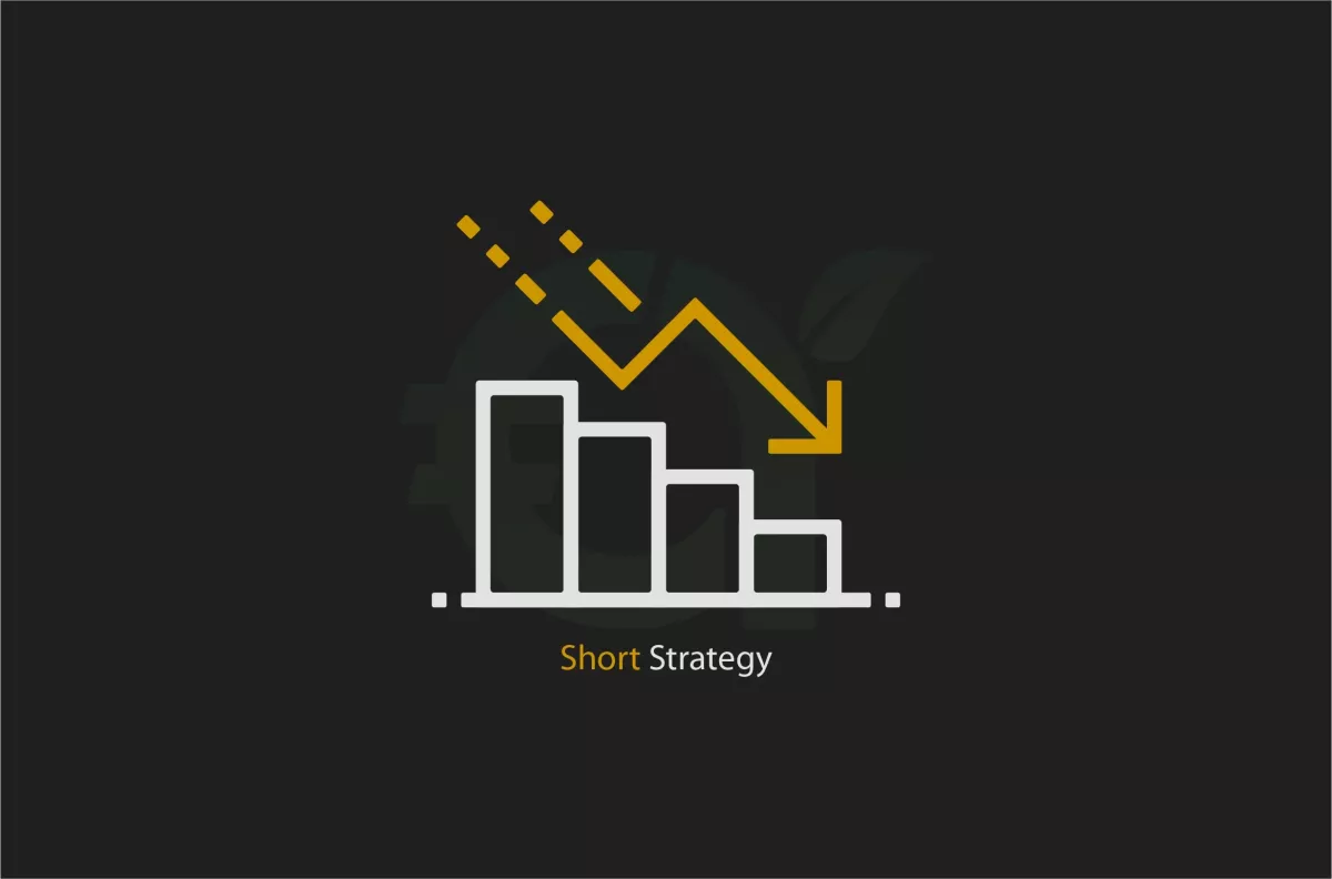 Short Crypto