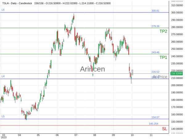 TSLA@216.52 Chart