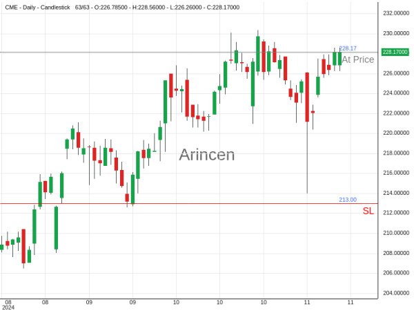 CME@228.17 Chart